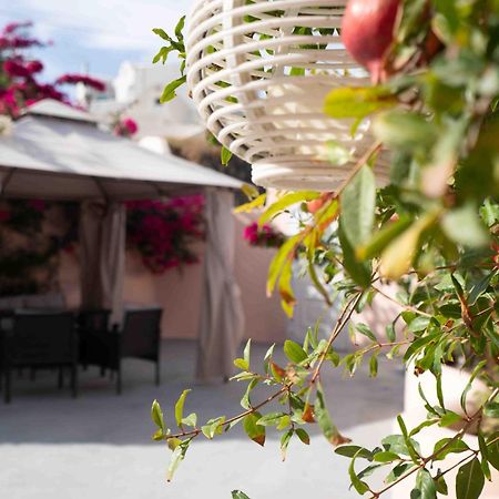 Santorini Oasis- Cave House Villa Fira  Exterior photo