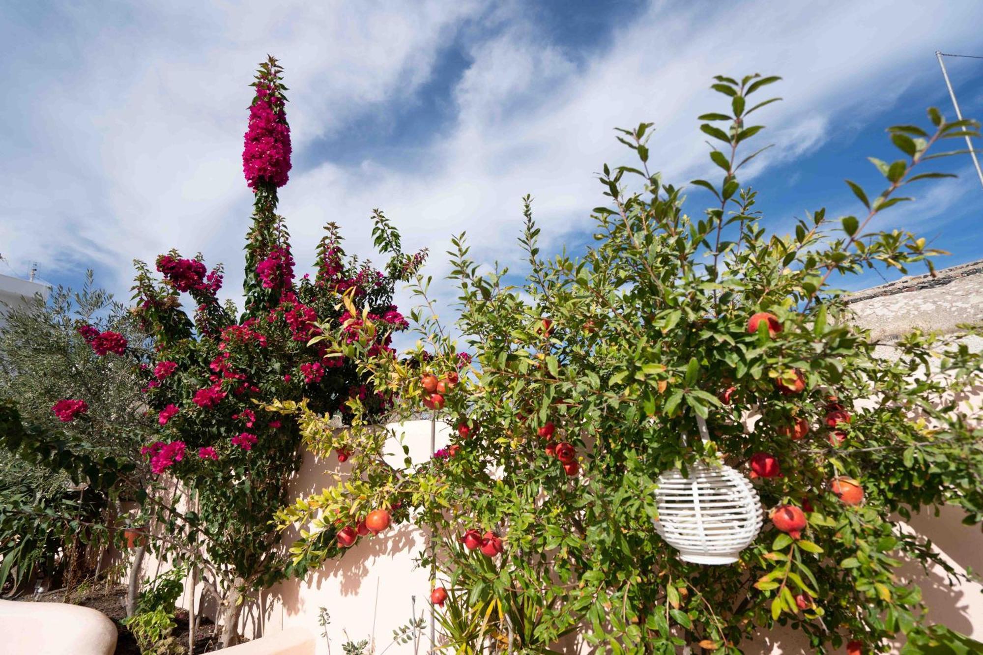 Santorini Oasis- Cave House Villa Fira  Exterior photo